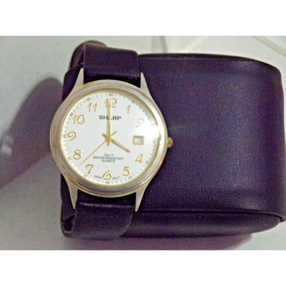 Sharp Mens SHP5205 Dress Day/Date Two-Tone 100' Water Resistant Quartz Watch 7"